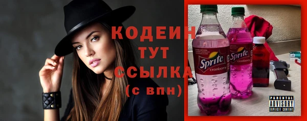 прущие грибы Балабаново