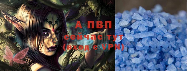 прущие грибы Балабаново